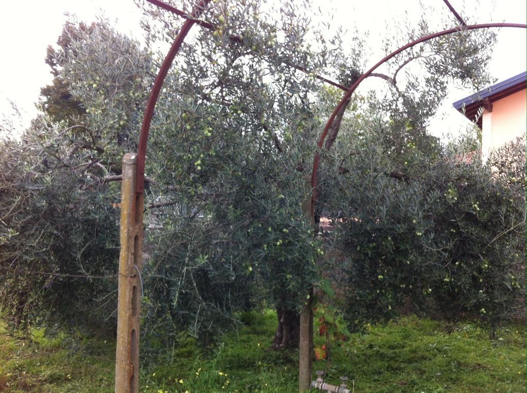 Villa Carolea Acireale Esterno foto